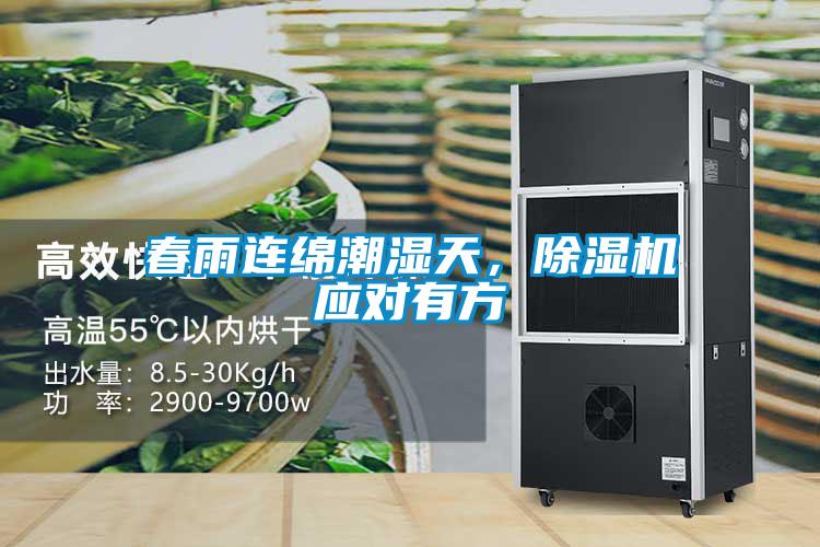 春雨連綿潮濕天，除濕機(jī)應(yīng)對有方