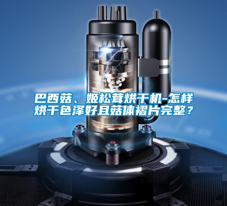 巴西菇、姬松茸烘干機-怎樣烘干色澤好且菇體褶片完整？
