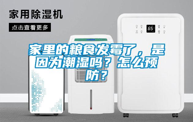 家里的糧食發(fā)霉了，是因為潮濕嗎？怎么預防？