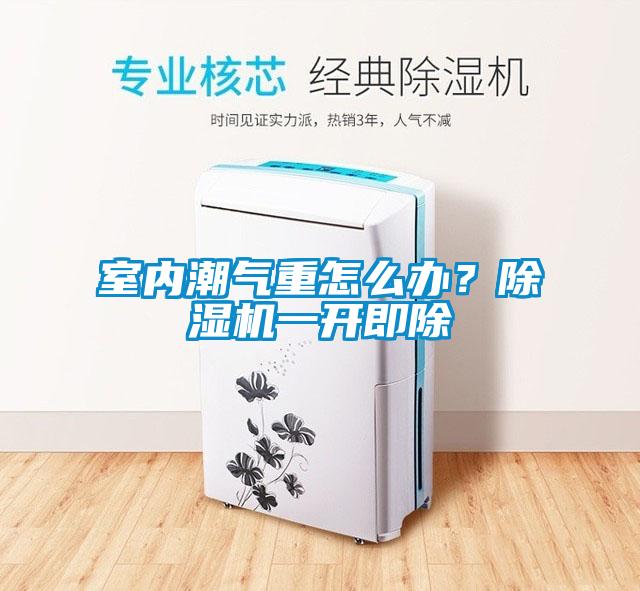 室內(nèi)潮氣重怎么辦？除濕機(jī)一開即除