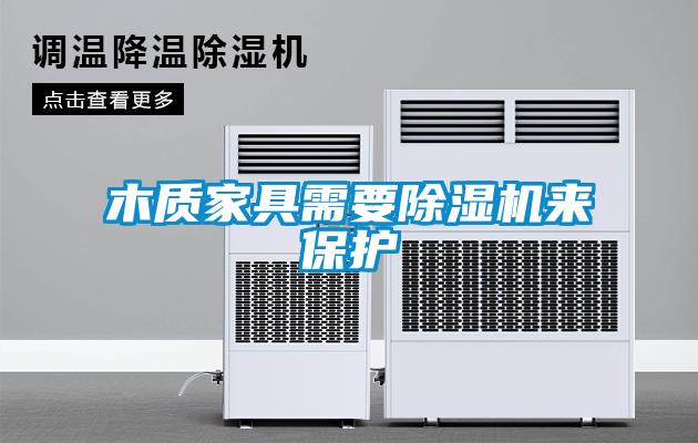 木質(zhì)家具需要除濕機來保護