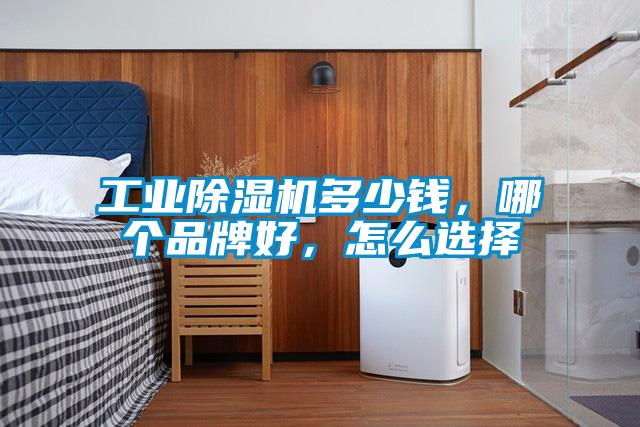 工業(yè)除濕機(jī)多少錢，哪個(gè)品牌好，怎么選擇