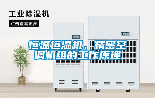 恒溫恒濕機，精密空調(diào)機組的工作原理