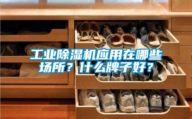 工業(yè)除濕機(jī)應(yīng)用在哪些場所？什么牌子好？