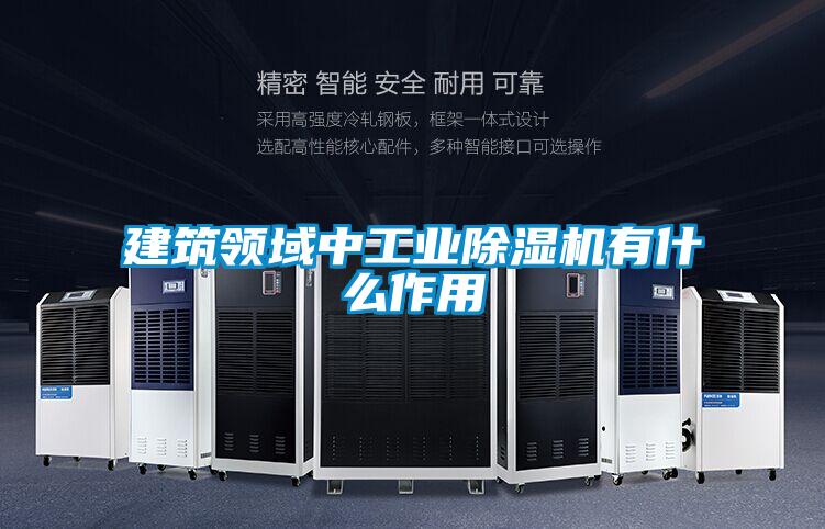 建筑領域中工業(yè)除濕機有什么作用