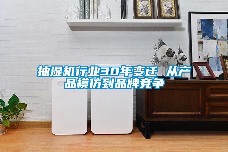 抽濕機(jī)行業(yè)30年變遷 從產(chǎn)品模仿到品牌競(jìng)爭(zhēng)