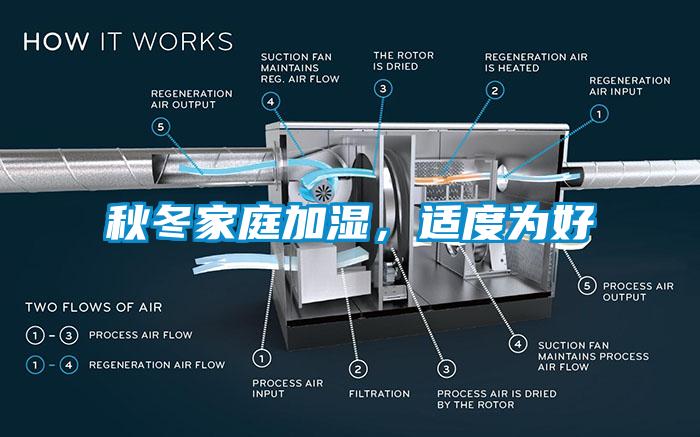秋冬家庭加濕，適度為好