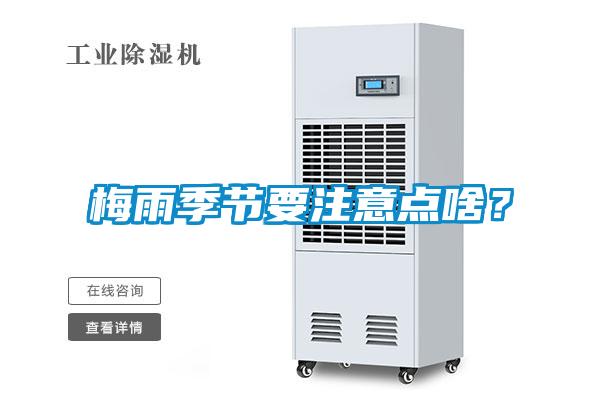 梅雨季節(jié)要注意點(diǎn)啥？