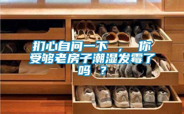 捫心自問一下 ， 你受夠老房子潮濕發(fā)霉了嗎 ？