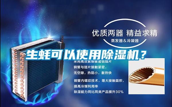 生蠔可以使用除濕機？