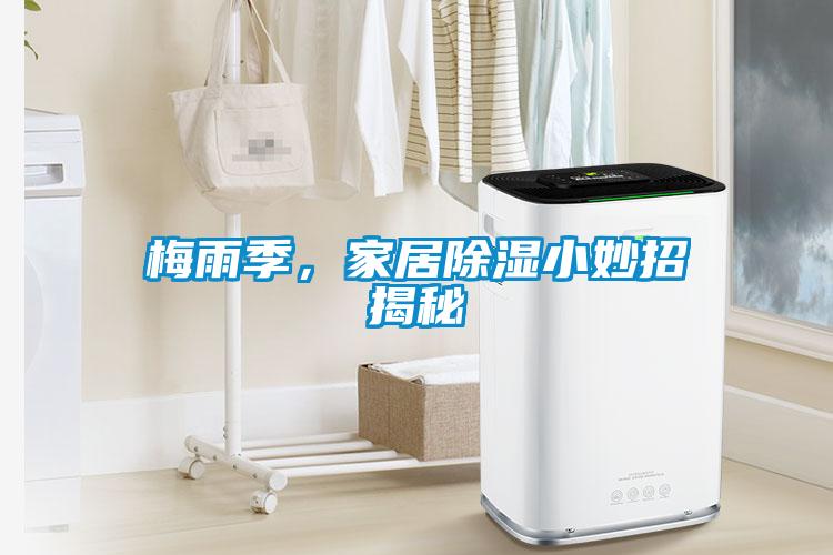 梅雨季，家居除濕小妙招揭秘