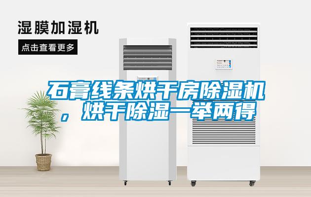 石膏線條烘干房除濕機(jī)，烘干除濕一舉兩得