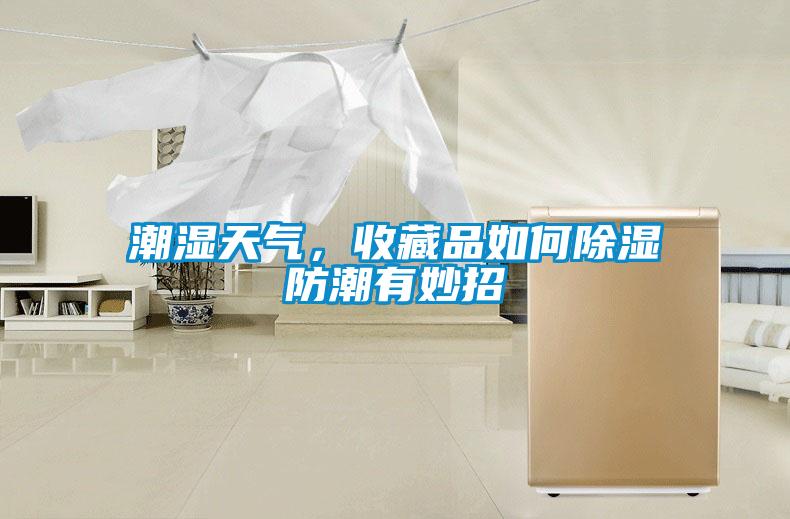 潮濕天氣，收藏品如何除濕防潮有妙招