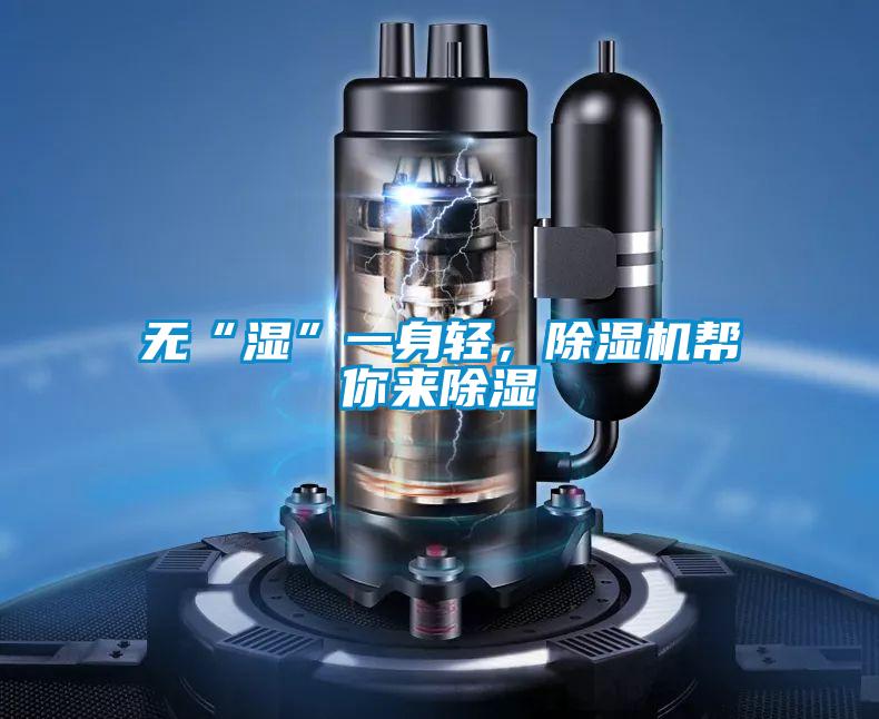 無“濕”一身輕，除濕機幫你來除濕