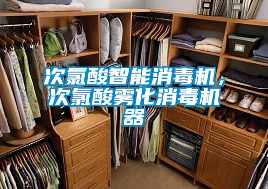 次氯酸智能消毒機(jī)，次氯酸霧化消毒機(jī)器