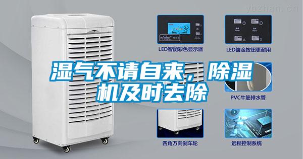 濕氣不請自來，除濕機及時去除