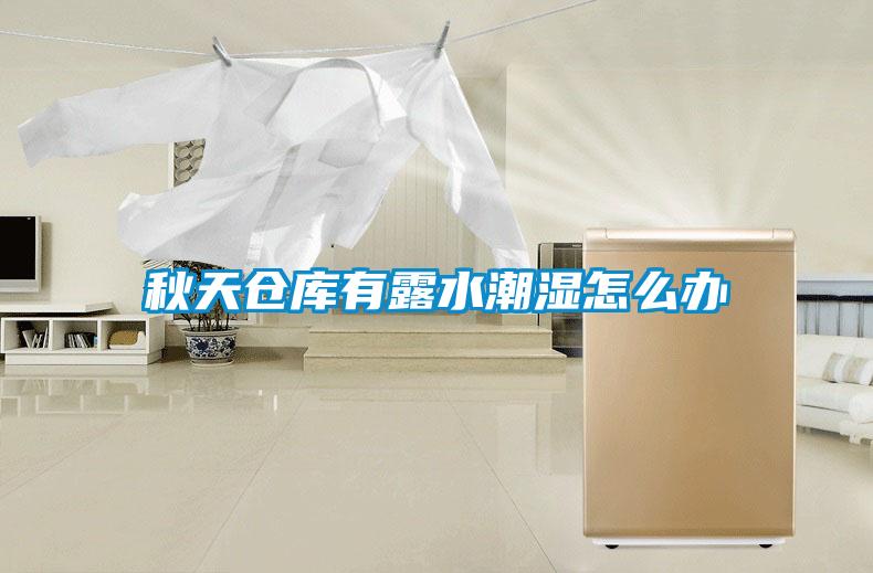 秋天倉(cāng)庫(kù)有露水潮濕怎么辦