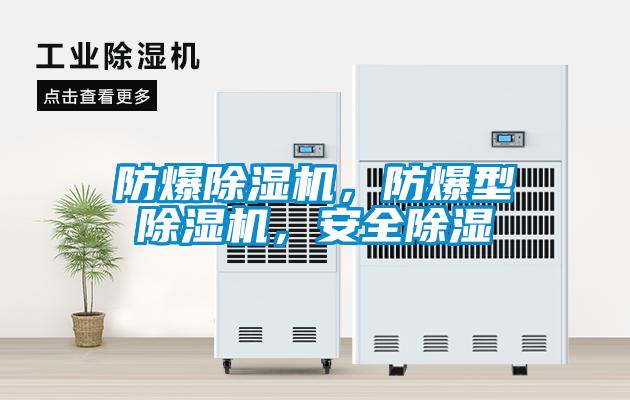 防爆除濕機(jī)，防爆型除濕機(jī)，安全除濕