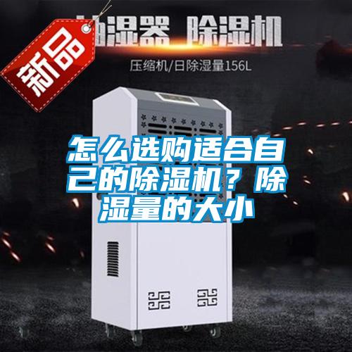怎么選購適合自己的除濕機？除濕量的大小