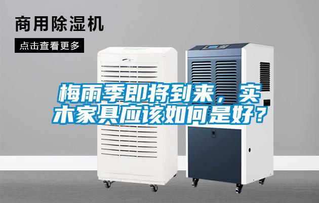 梅雨季即將到來，實木家具應該如何是好？