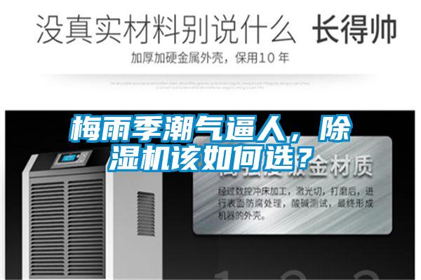 梅雨季潮氣逼人，除濕機(jī)該如何選？