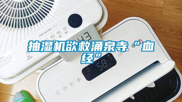 抽濕機(jī)欲救涌泉寺“血經(jīng)”