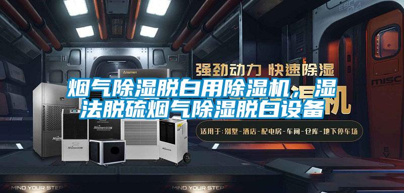 煙氣除濕脫白用除濕機(jī)，濕法脫硫煙氣除濕脫白設(shè)備