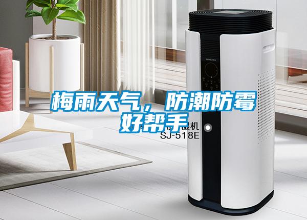 梅雨天氣，防潮防霉好幫手