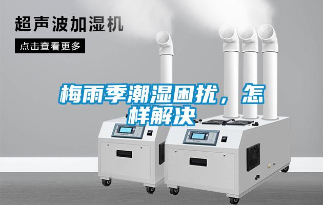 梅雨季潮濕困擾，怎樣解決
