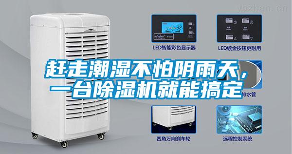 趕走潮濕不怕陰雨天，一臺除濕機就能搞定