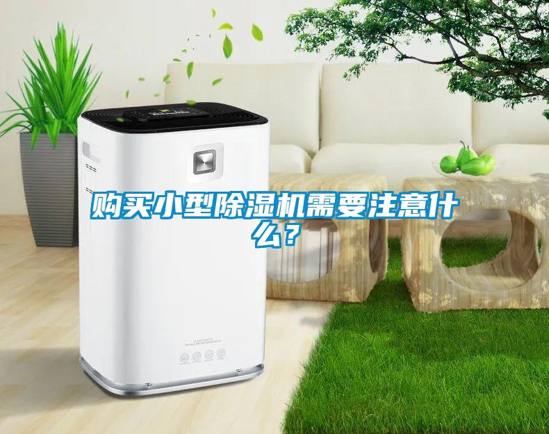 購買小型除濕機需要注意什么？