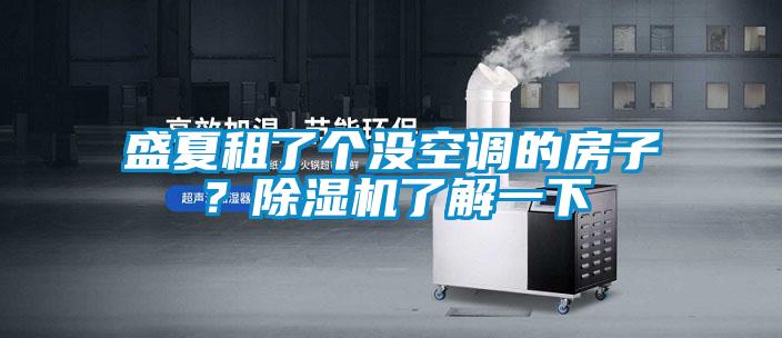 盛夏租了個沒空調(diào)的房子？除濕機了解一下