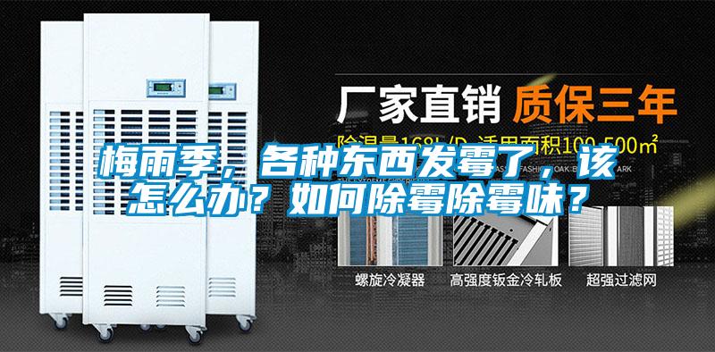梅雨季，各種東西發(fā)霉了，該怎么辦？如何除霉除霉味？