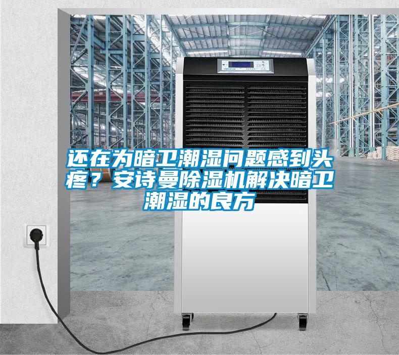 還在為暗衛(wèi)潮濕問題感到頭疼？安詩曼除濕機解決暗衛(wèi)潮濕的良方