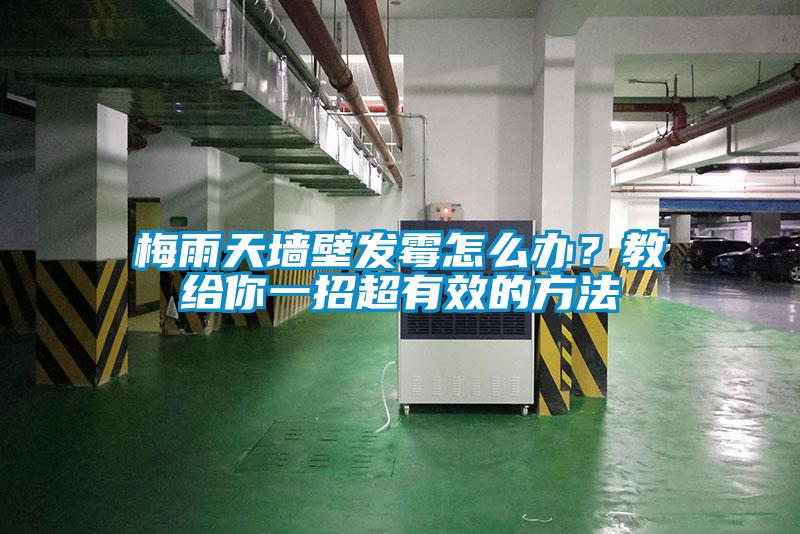梅雨天墻壁發(fā)霉怎么辦？教給你一招超有效的方法