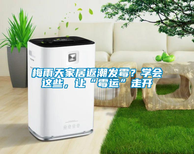 梅雨天家居返潮發(fā)霉？學(xué)會(huì)這些，讓“霉運(yùn)”走開