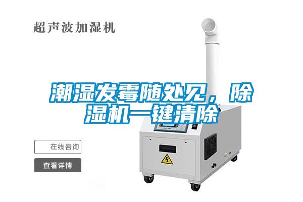 潮濕發(fā)霉隨處見，除濕機(jī)一鍵清除