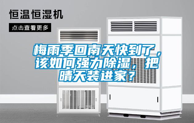 梅雨季回南天快到了，該如何強(qiáng)力除濕，把晴天裝進(jìn)家？