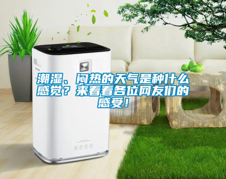 潮濕、悶熱的天氣是種什么感覺？來看看各位網(wǎng)友們的感受！