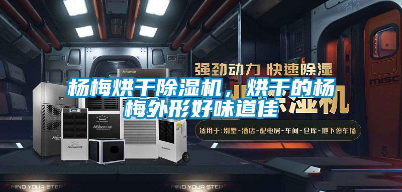 楊梅烘干除濕機，烘干的楊梅外形好味道佳