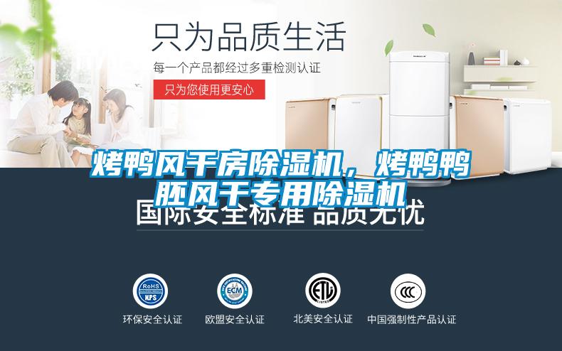 烤鴨風干房除濕機，烤鴨鴨胚風干專用除濕機