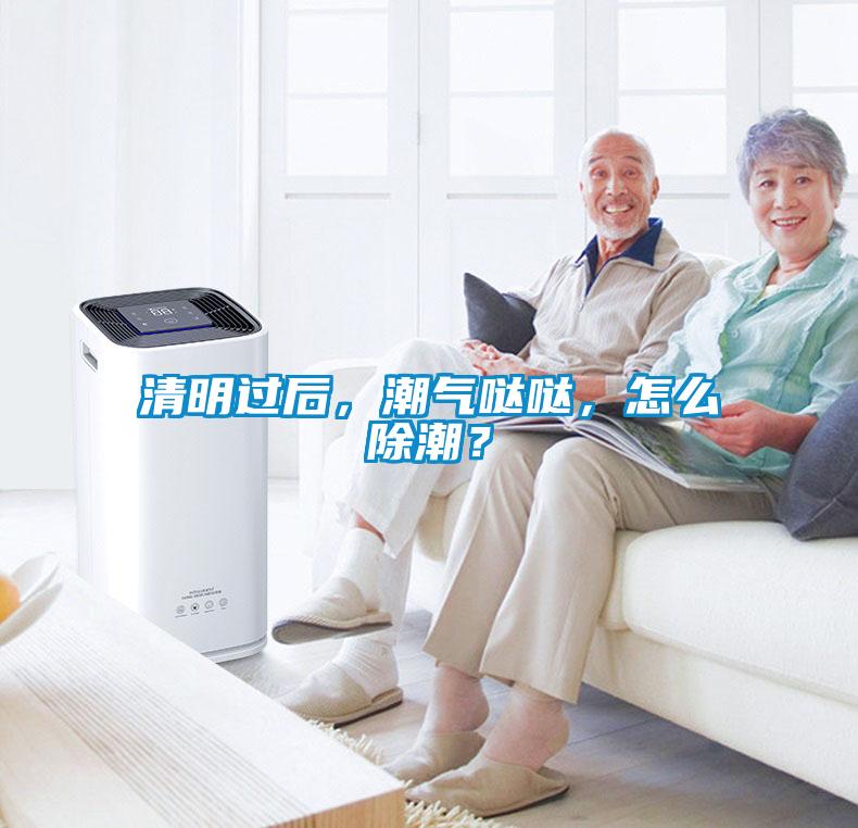 清明過后，潮氣噠噠，怎么除潮？