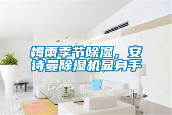 梅雨季節(jié)除濕，安詩曼除濕機(jī)顯身手