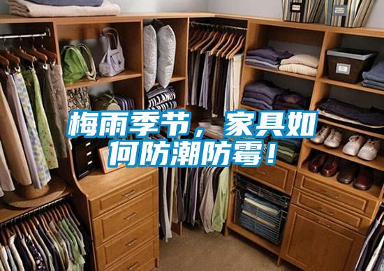 梅雨季節(jié)，家具如何防潮防霉！