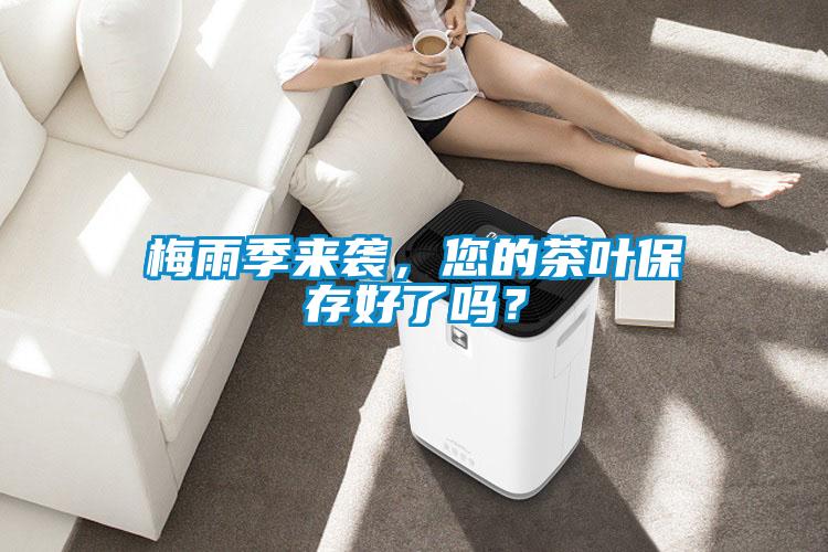 梅雨季來襲，您的茶葉保存好了嗎？