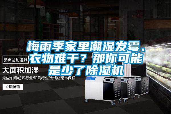 梅雨季家里潮濕發(fā)霉、衣物難干？那你可能是少了除濕機