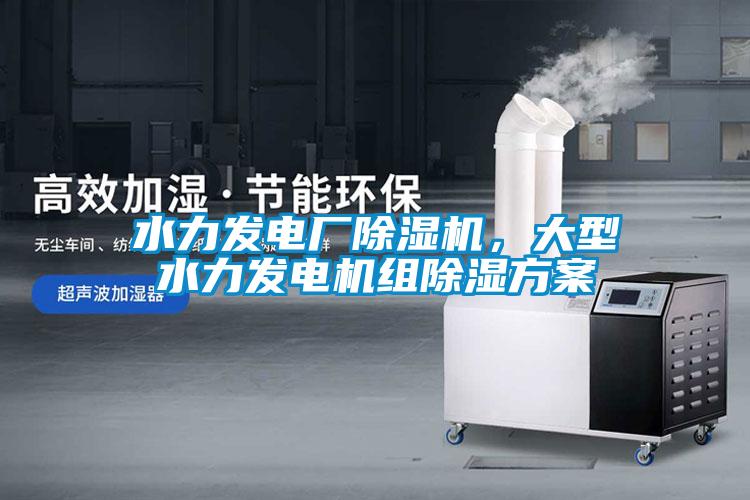 水力發(fā)電廠除濕機(jī)，大型水力發(fā)電機(jī)組除濕方案