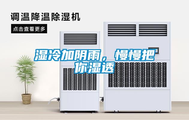 濕冷加陰雨，慢慢把你濕透