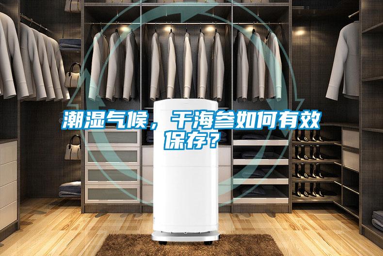 潮濕氣候，干海參如何有效保存？