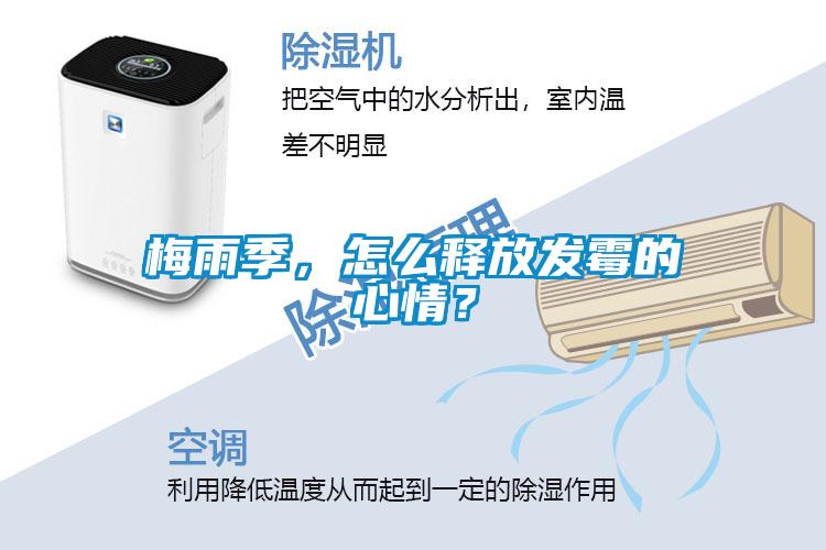 梅雨季，怎么釋放發(fā)霉的心情？